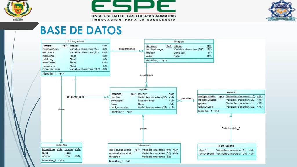 BASE DE DATOS el sistema de base de datos va a permitritr