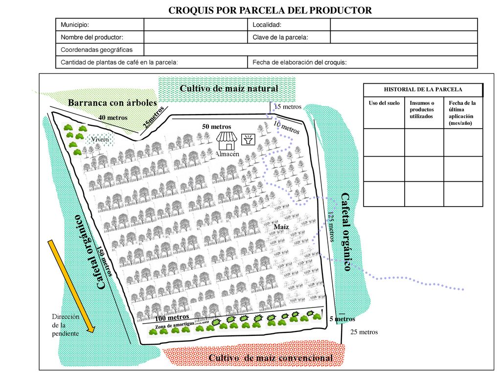 CROQUIS POR PARCELA DEL PRODUCTOR HISTORIAL DE LA PARCELA