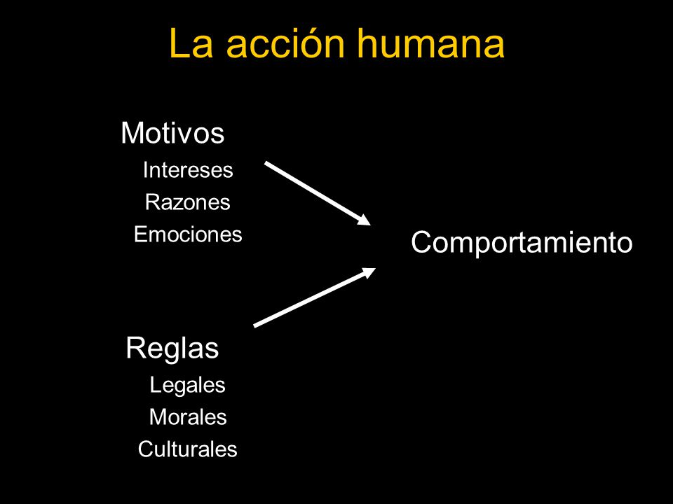 La acción humana Motivos Reglas Comportamiento Intereses Razones