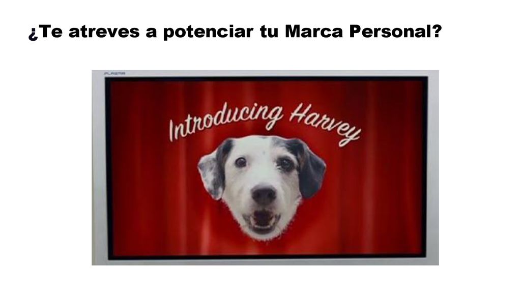 ¿Te atreves a potenciar tu Marca Personal
