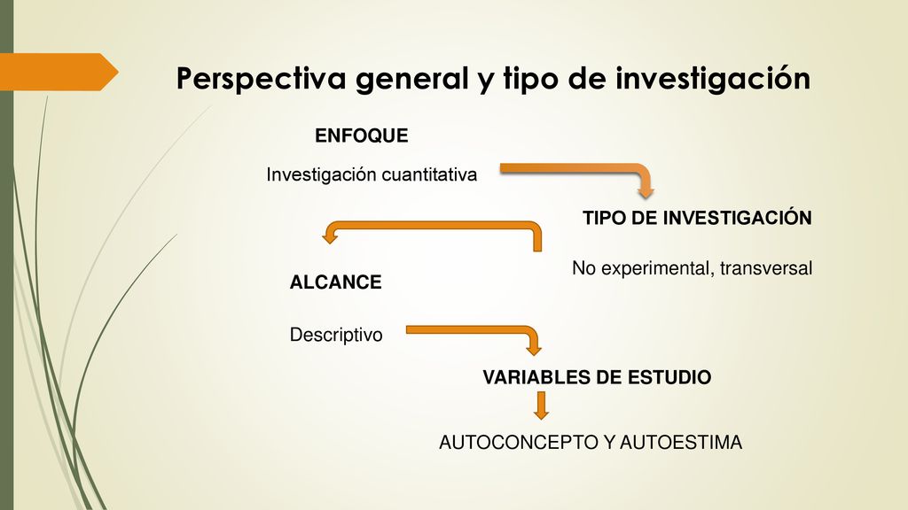 Perspectiva general y tipo de investigación