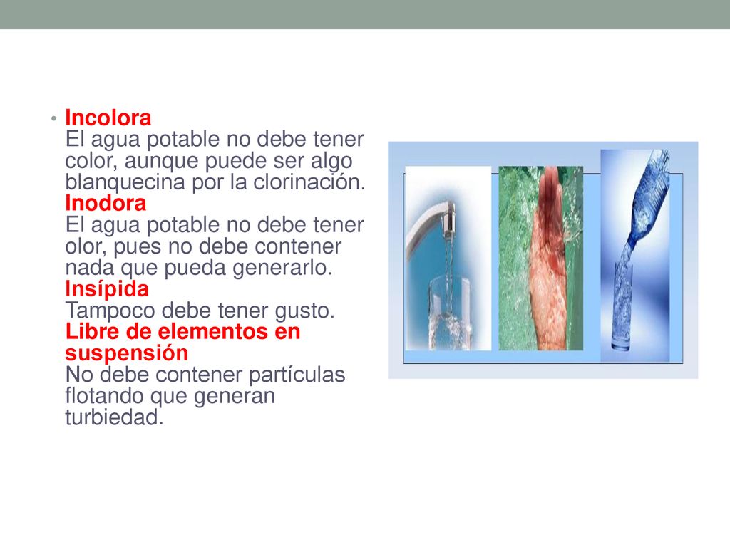 Incolora El agua potable no debe tener color, aunque puede ser algo blanquecina por la clorinación.