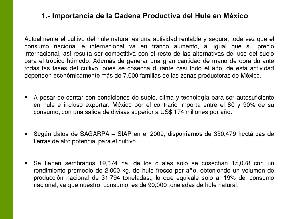 1.- Importancia de la Cadena Productiva del Hule en México