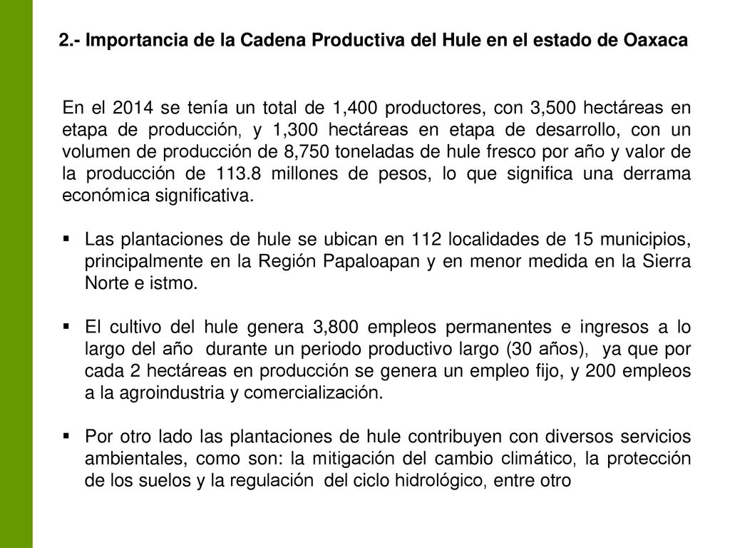 2.- Importancia de la Cadena Productiva del Hule en el estado de Oaxaca