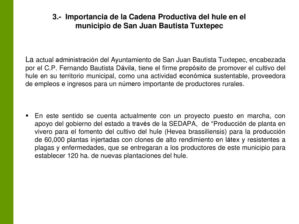 Diagnóstico y Plan Rector del Sistema Producto Hule del Estado de Oaxaca