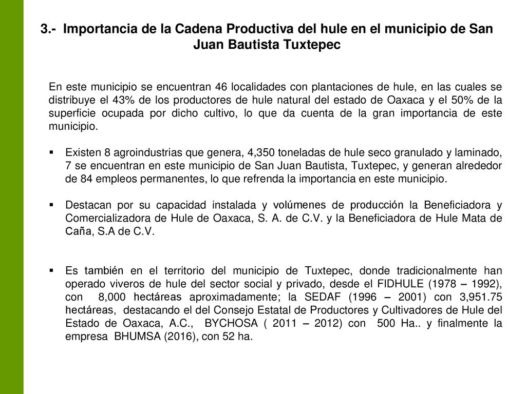 3.- Importancia de la Cadena Productiva del hule en el municipio de San Juan Bautista Tuxtepec