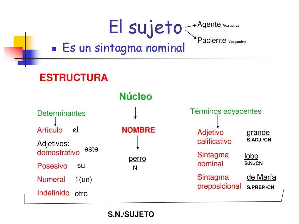 El sujeto Es un sintagma nominal ESTRUCTURA Agente Voz activa
