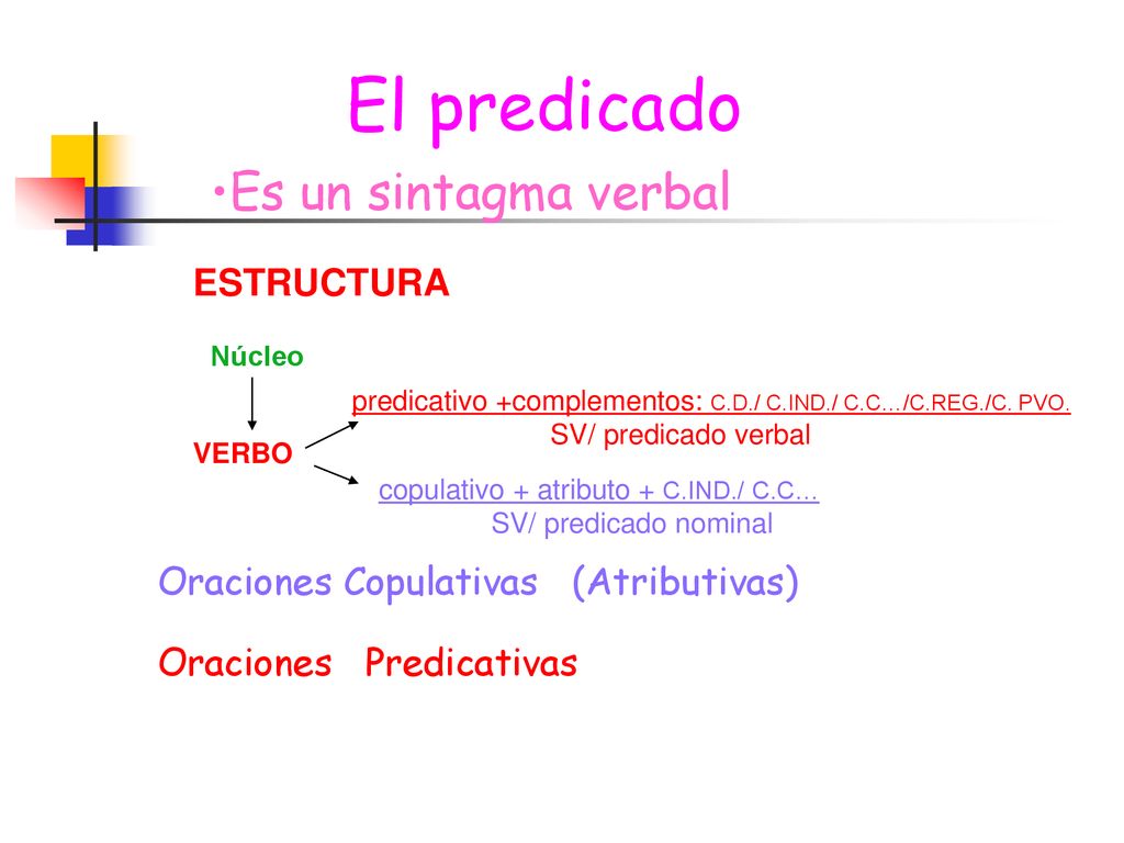 El predicado Es un sintagma verbal ESTRUCTURA