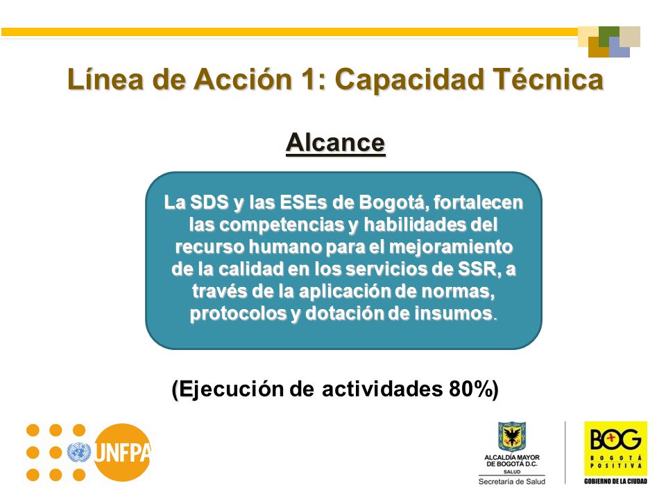 Línea de Acción 1: Capacidad Técnica (Ejecución de actividades 80%)