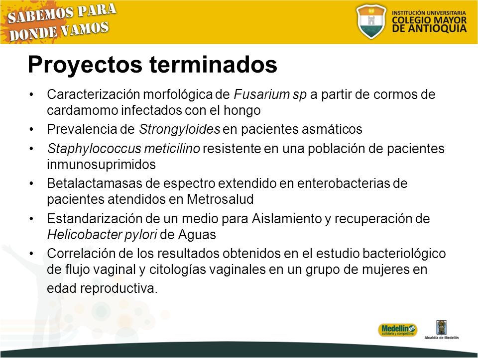 Proyectos terminados Caracterización morfológica de Fusarium sp a partir de cormos de cardamomo infectados con el hongo.