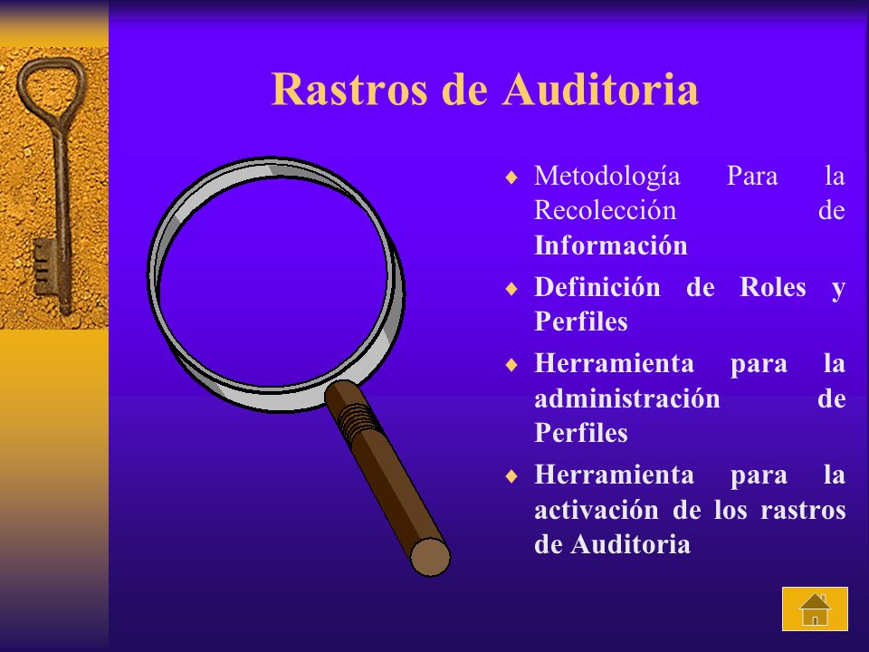 Rastros de Auditoria Metodología Para la Recolección de Información
