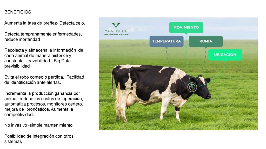 BENEFICIOS Aumenta la tasa de preñez- Detecta celo. Detecta tempranamente enfermedades, reduce mortandad.