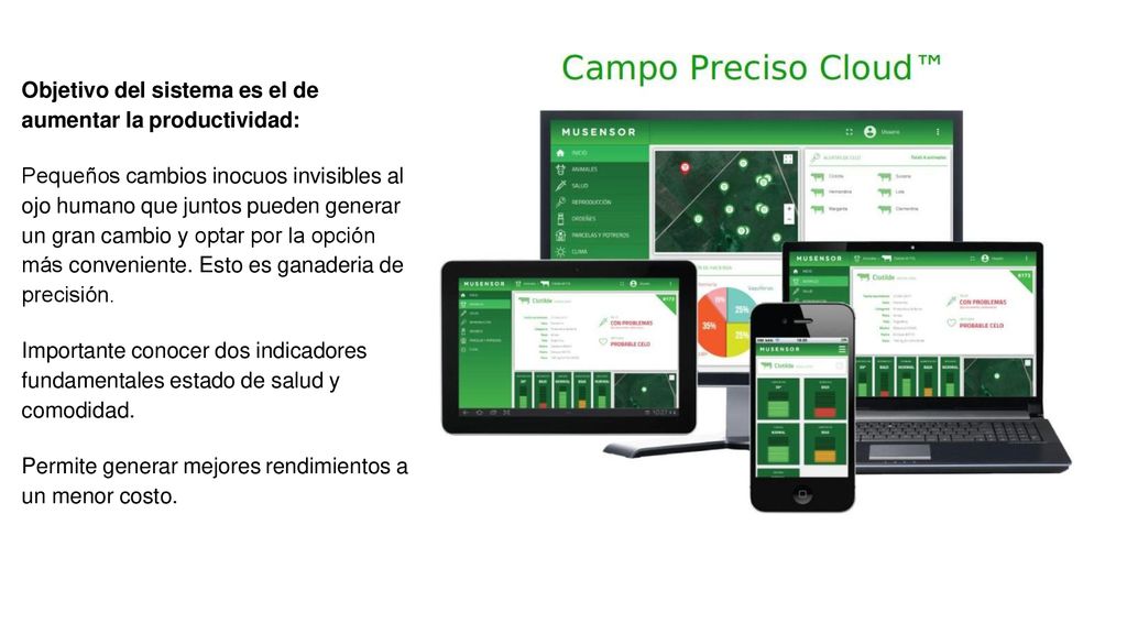 Objetivo del sistema es el de aumentar la productividad: