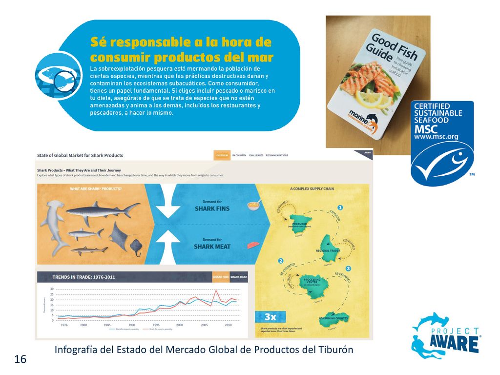 Infografía del Estado del Mercado Global de Productos del Tiburón