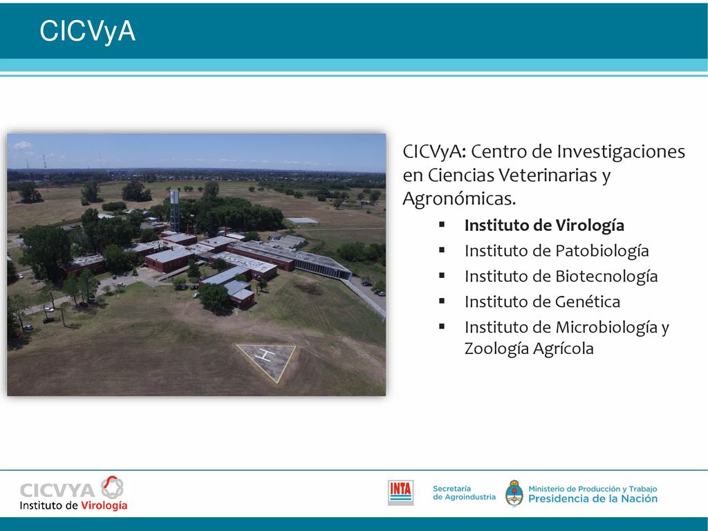 CICVyA CICVyA: Centro de Investigaciones en Ciencias Veterinarias y Agronómicas. Instituto de Virología.