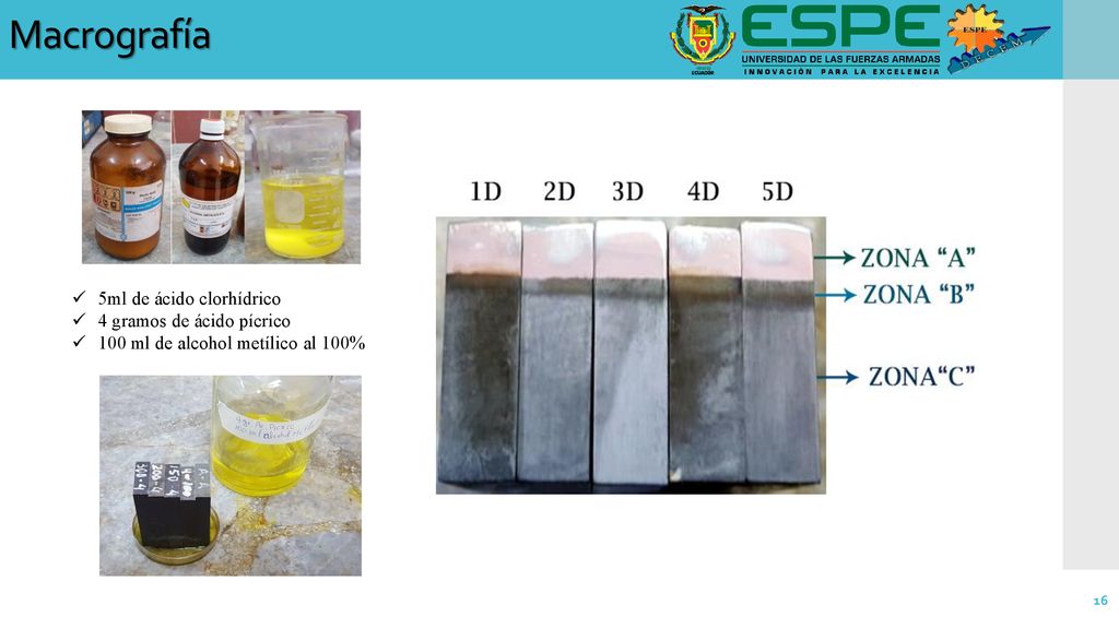 Macrografía 5ml de ácido clorhídrico 4 gramos de ácido pícrico
