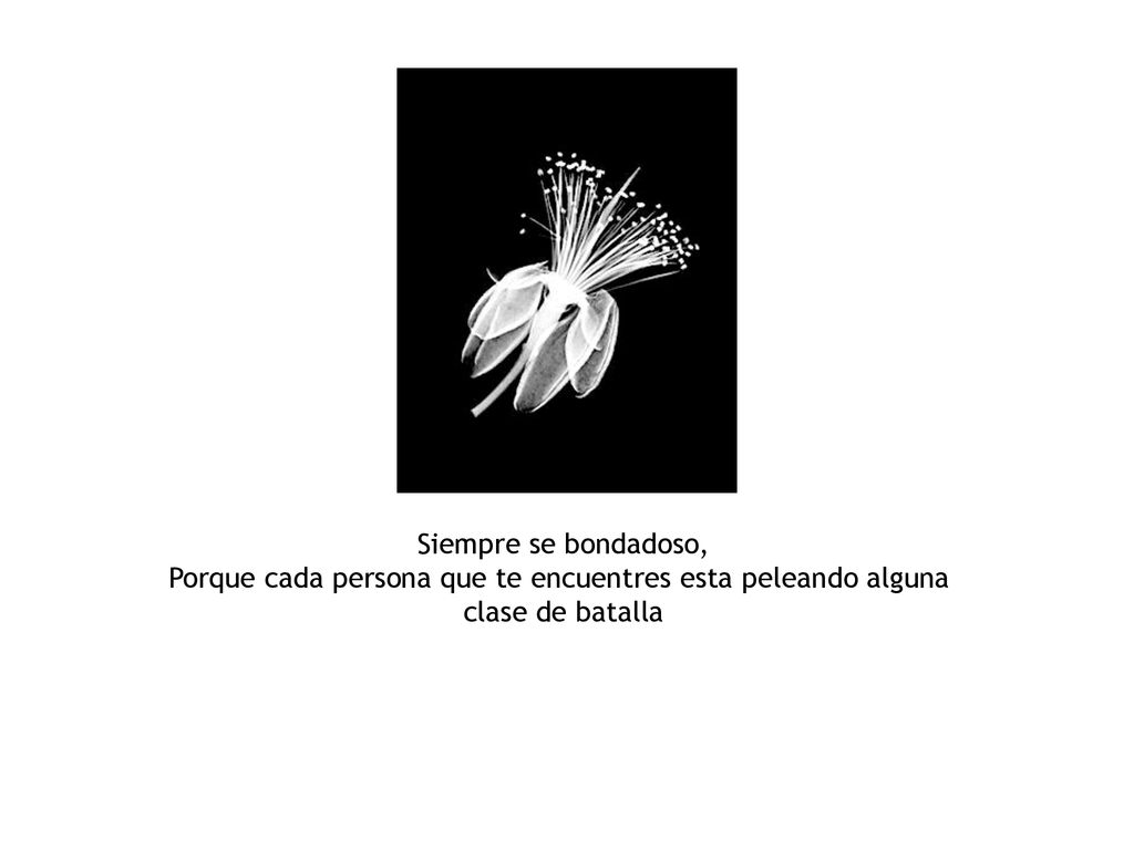 Siempre se bondadoso, Porque cada persona que te encuentres esta peleando alguna clase de batalla