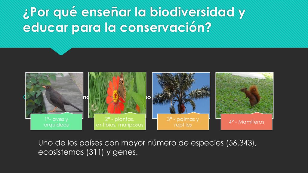 ¿Por qué enseñar la biodiversidad y educar para la conservación