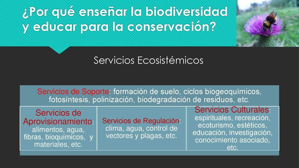 ¿Por qué enseñar la biodiversidad y educar para la conservación