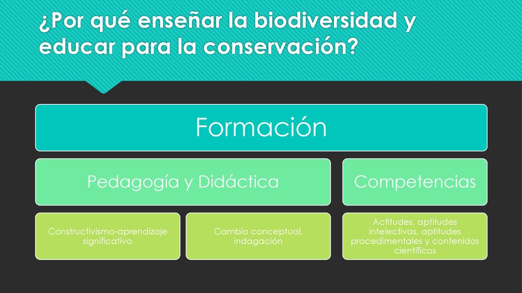 ¿Por qué enseñar la biodiversidad y educar para la conservación