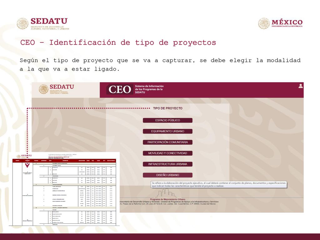 CEO – Identificación de tipo de proyectos