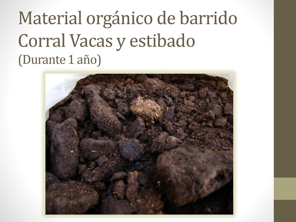 Material orgánico de barrido Corral Vacas y estibado (Durante 1 año)
