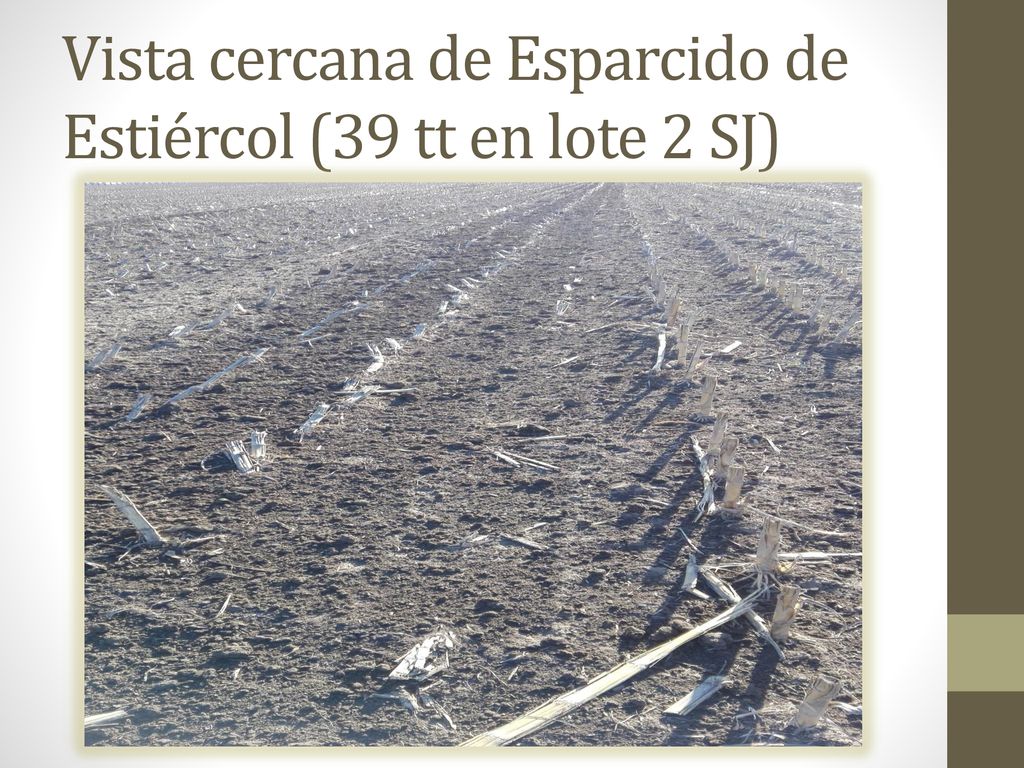 Vista cercana de Esparcido de Estiércol (39 tt en lote 2 SJ)