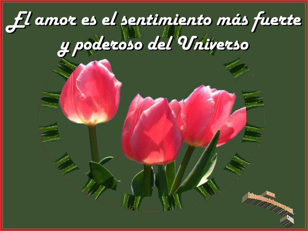 El amor es el sentimiento más fuerte y poderoso del Universo