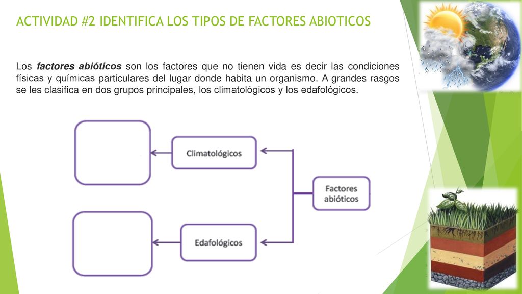 ACTIVIDAD #2 IDENTIFICA LOS TIPOS DE FACTORES ABIOTICOS