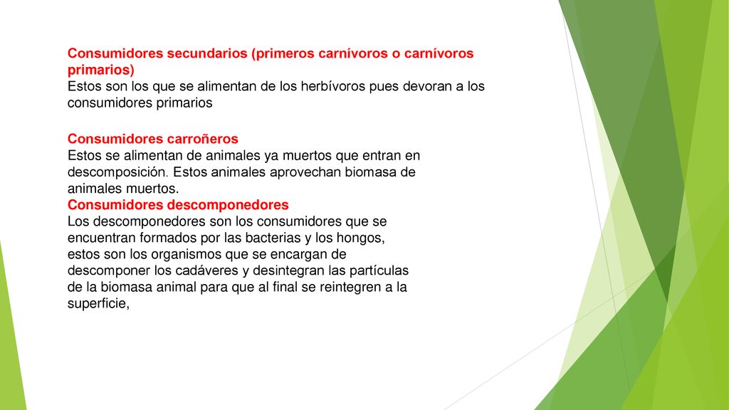 Consumidores secundarios (primeros carnívoros o carnívoros primarios)