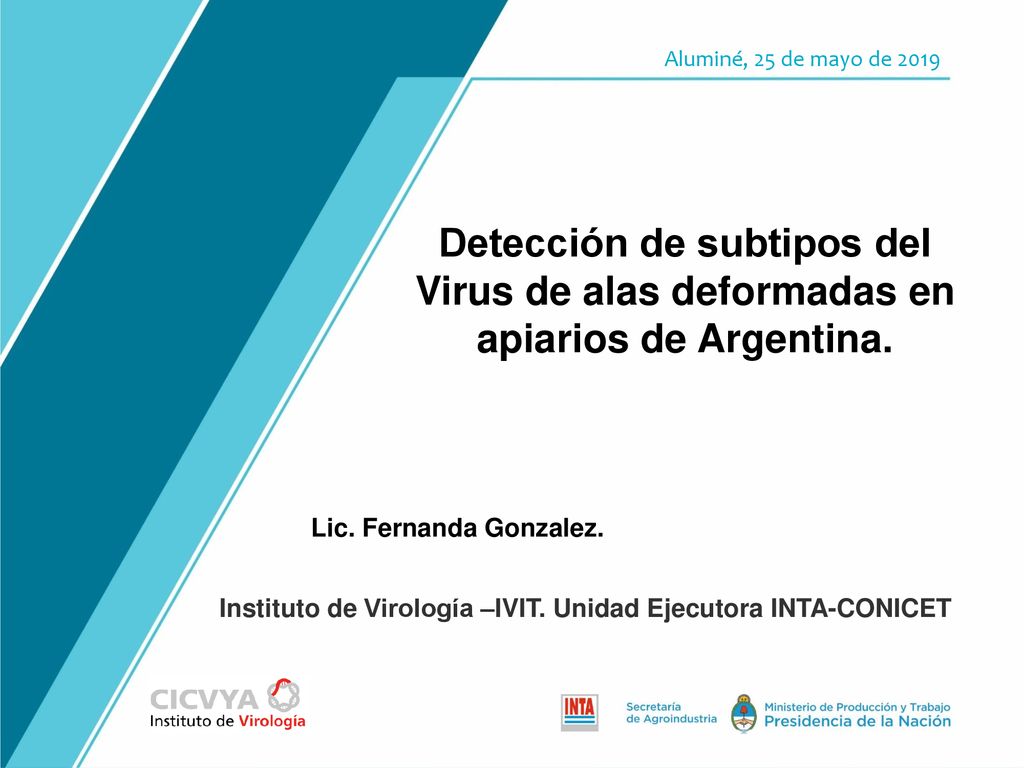 Detección de subtipos del Virus de alas deformadas en apiarios de Argentina.