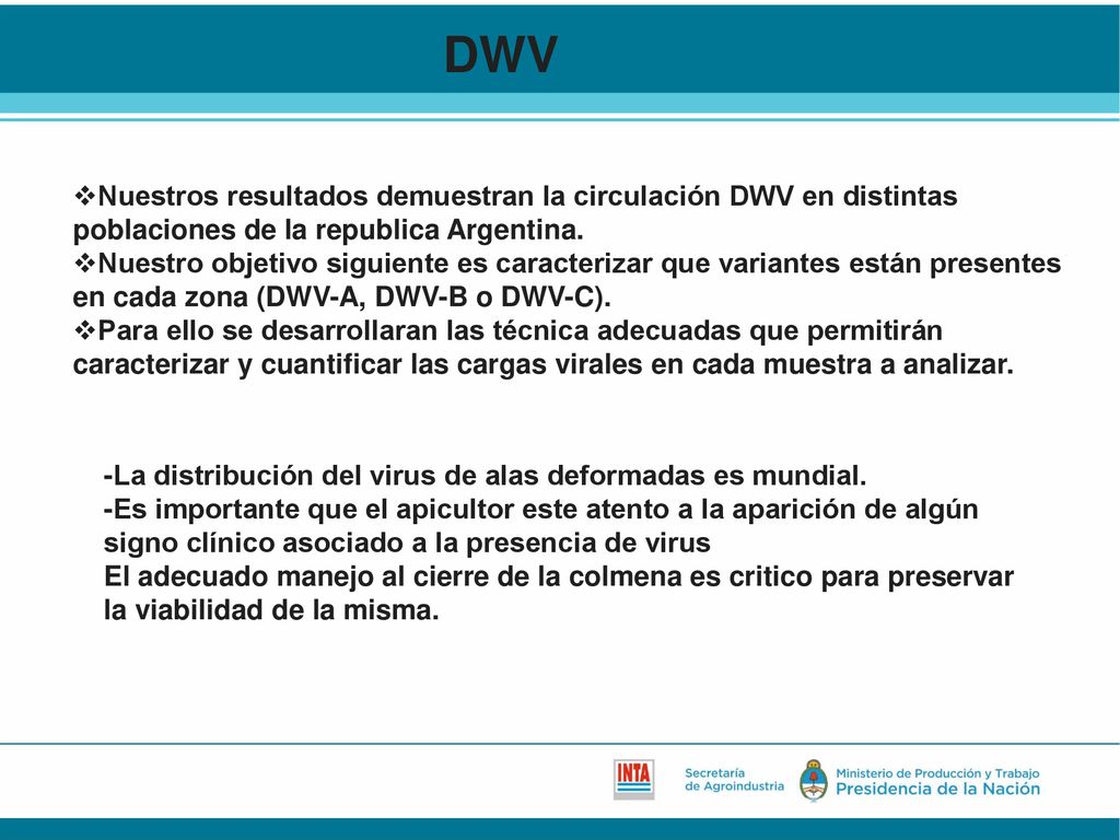 DWV Nuestros resultados demuestran la circulación DWV en distintas poblaciones de la republica Argentina.