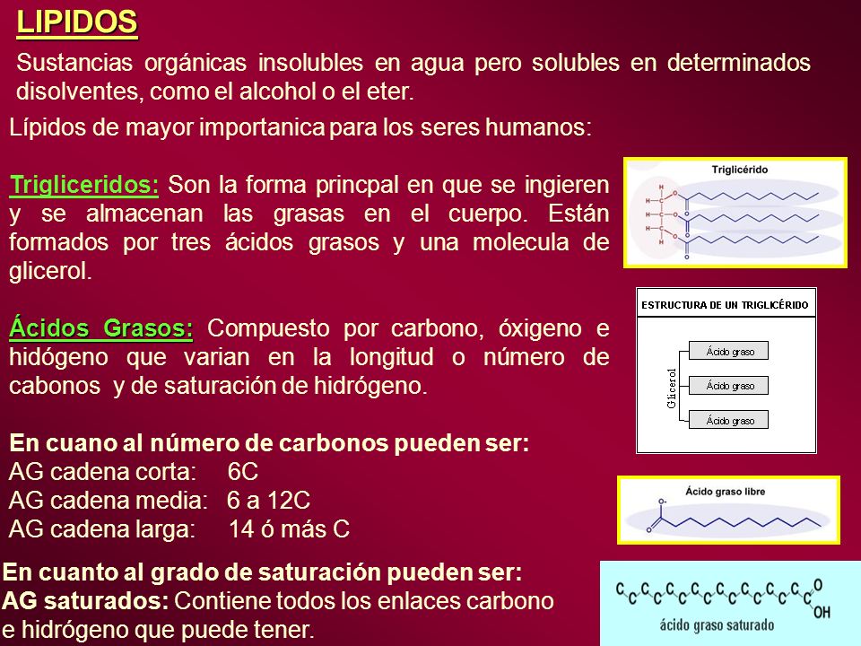 LIPIDOS Sustancias orgánicas insolubles en agua pero solubles en determinados disolventes, como el alcohol o el eter.