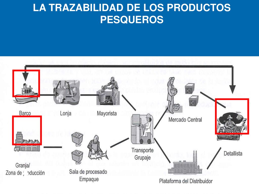 LA TRAZABILIDAD DE LOS PRODUCTOS PESQUEROS