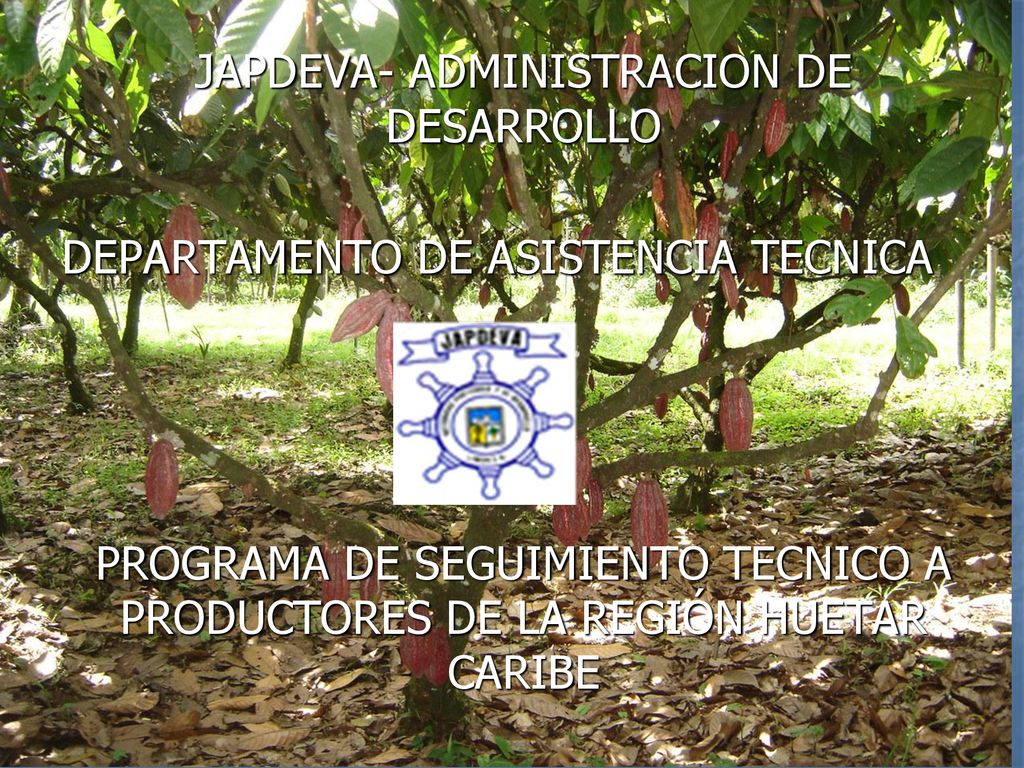 JAPDEVA- ADMINISTRACION DE DESARROLLO DEPARTAMENTO DE ASISTENCIA TECNICA PROGRAMA DE SEGUIMIENTO TECNICO A PRODUCTORES DE LA REGIÓN HUETAR CARIBE