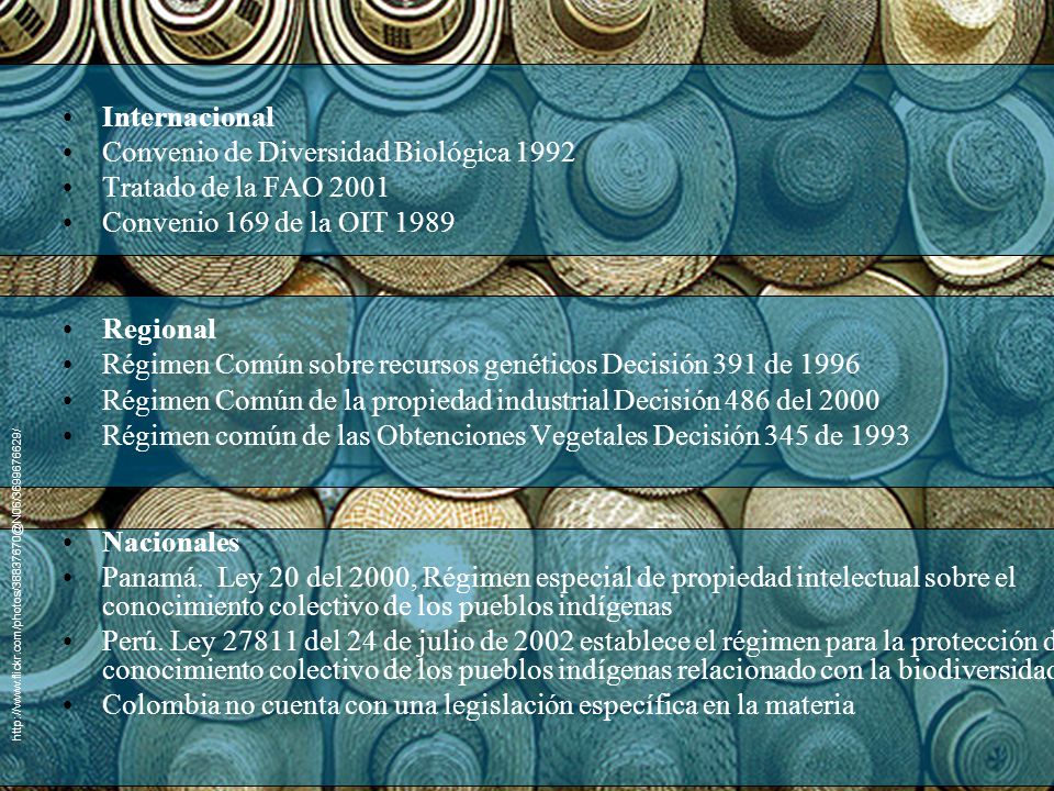 Convenio de Diversidad Biológica 1992 Tratado de la FAO 2001