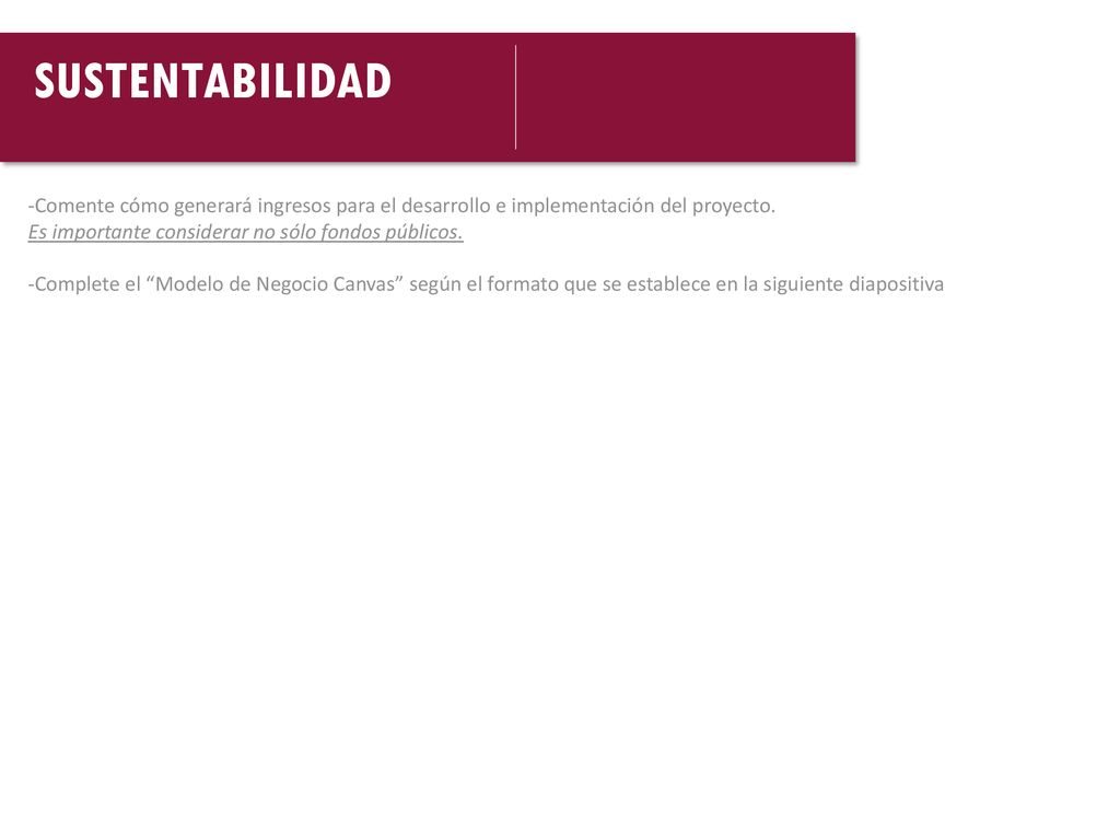 -Comente cómo generará ingresos para el desarrollo e implementación del proyecto.