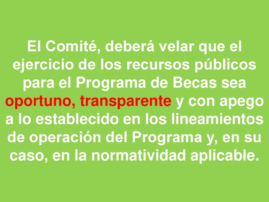 El Comité, deberá velar que el ejercicio de los recursos públicos para el Programa de Becas sea oportuno, transparente y con apego a lo establecido en los lineamientos de operación del Programa y, en su caso, en la normatividad aplicable.