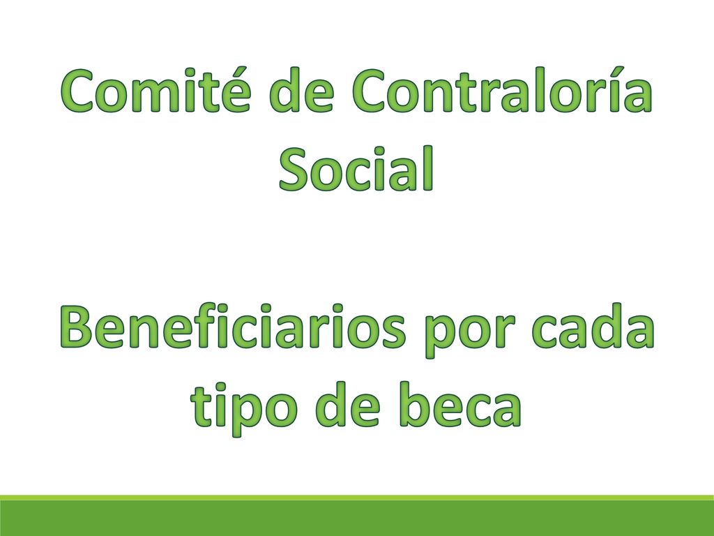 Comité de Contraloría Social Beneficiarios por cada tipo de beca
