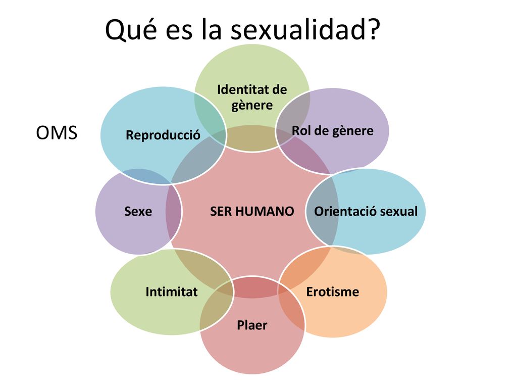 Qué es la sexualidad OMS SER HUMANO Identitat de gènere Rol de gènere