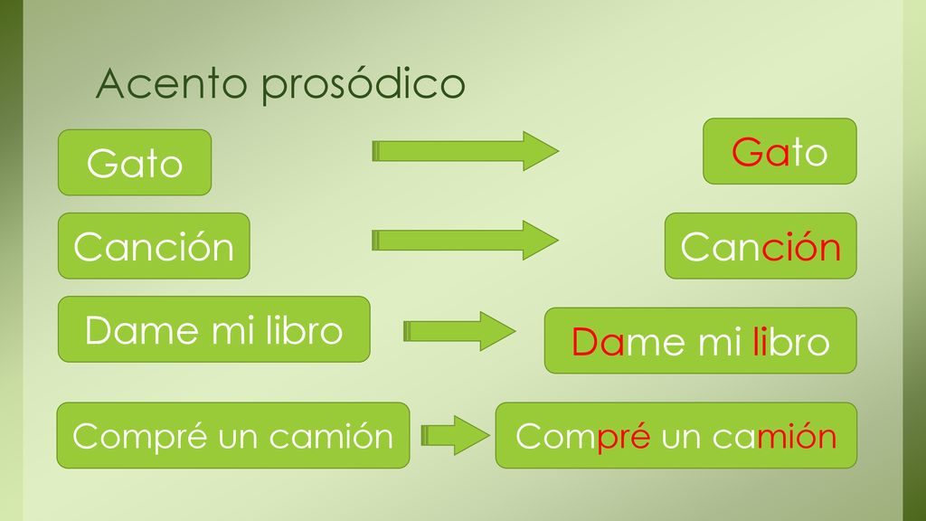 Acento prosódico Gato Gato Canción Canción Dame mi libro Dame mi libro
