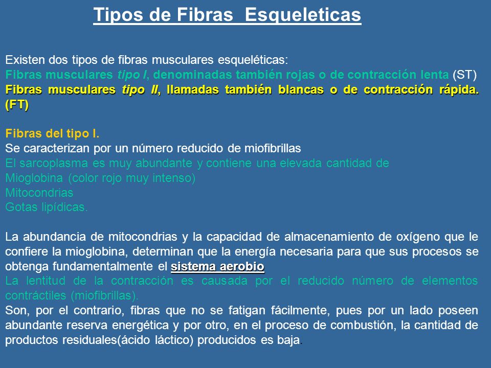 Tipos de Fibras Esqueleticas
