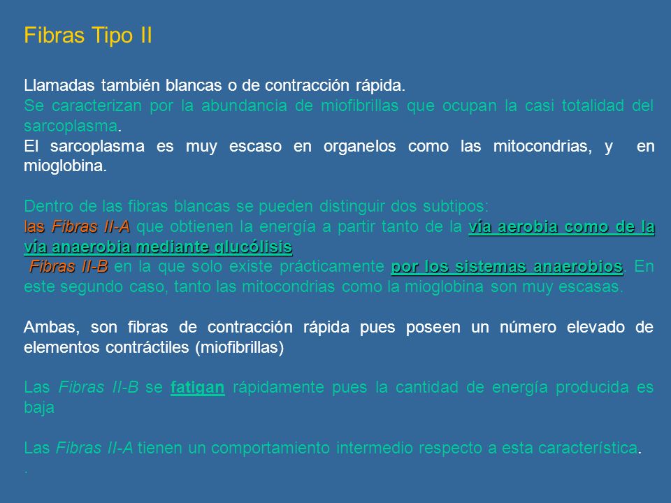 Fibras Tipo II Llamadas también blancas o de contracción rápida.
