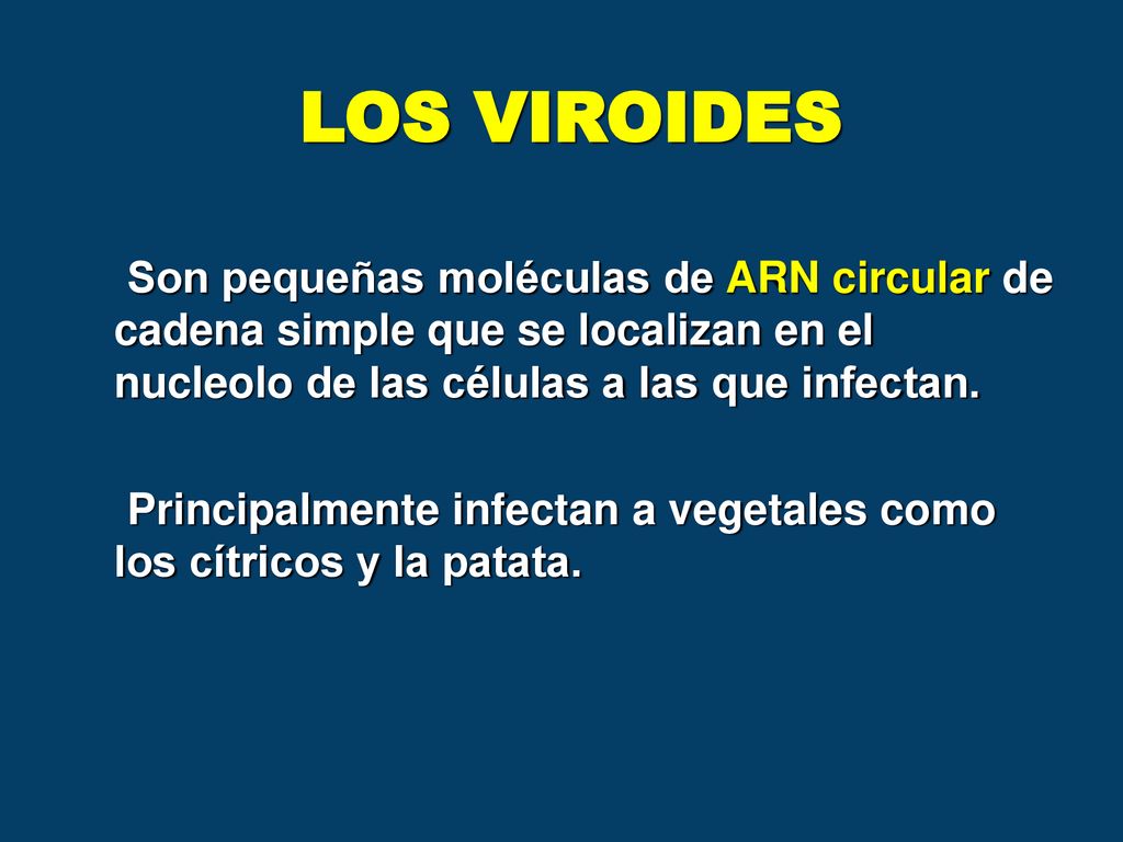 LOS VIROIDES Son pequeñas moléculas de ARN circular de cadena simple que se localizan en el nucleolo de las células a las que infectan.