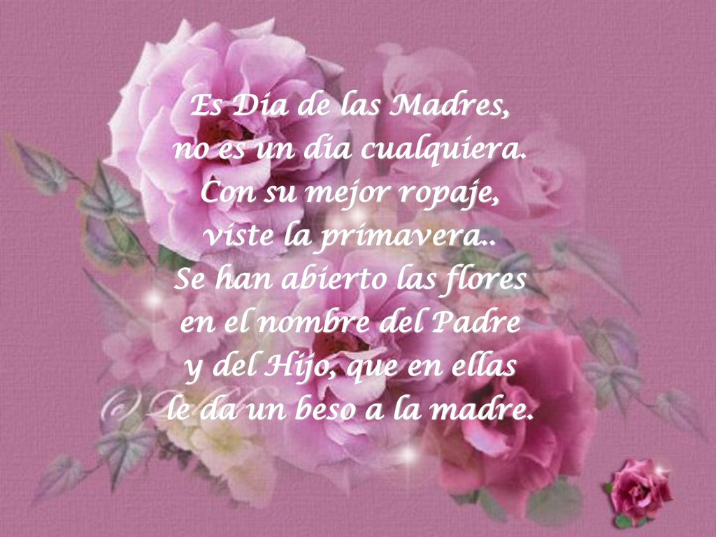 Es Dia de las Madres, no es un dia cualquiera