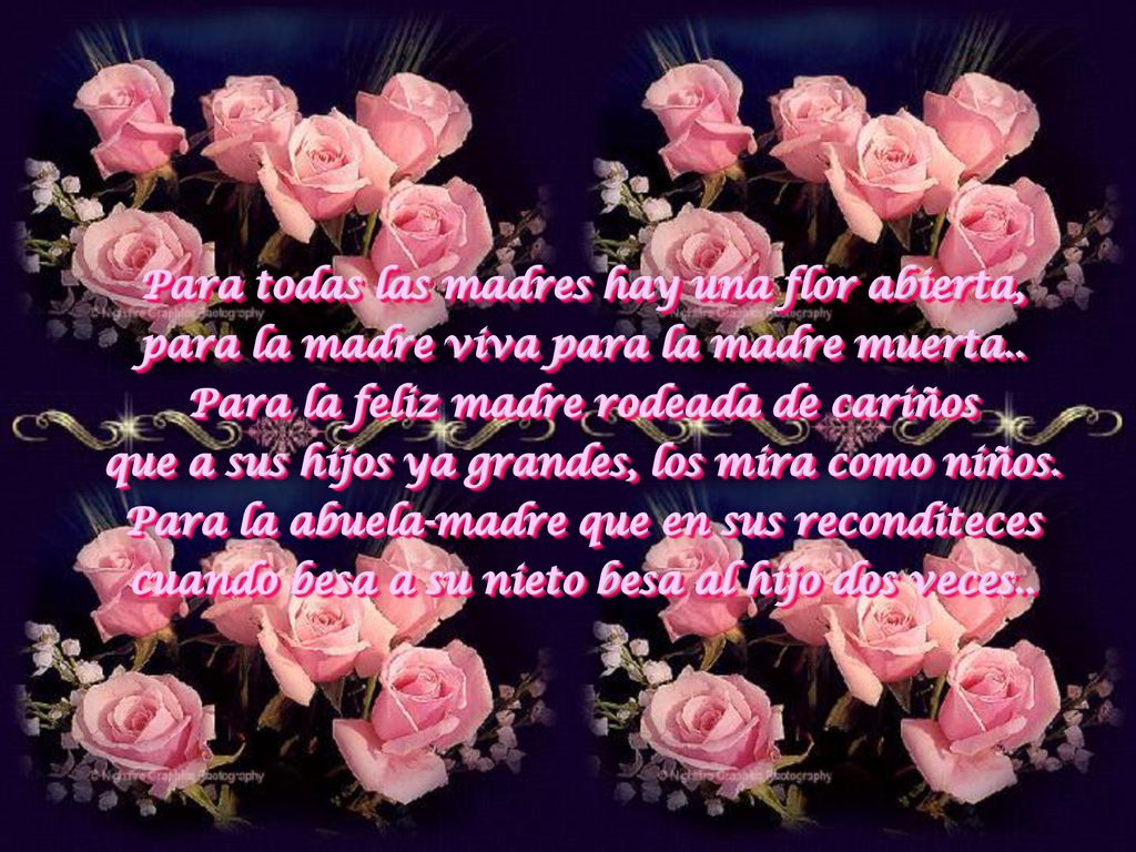 Para todas las madres hay una flor abierta, para la madre viva para la madre muerta..