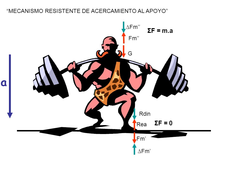 a ΣF = m.a ΣF = 0 MECANISMO RESISTENTE DE ACERCAMIENTO AL APOYO