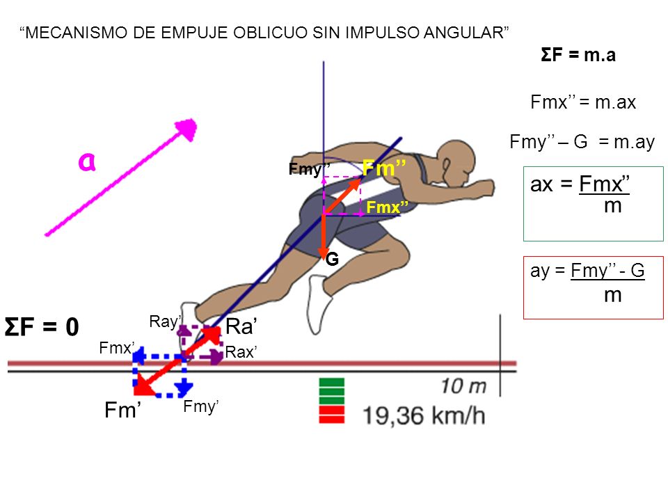 a ΣF = 0 Fm’’ ax = Fmx’’ m m Ra’ Fm’ ΣF = m.a Fmx’’ = m.ax