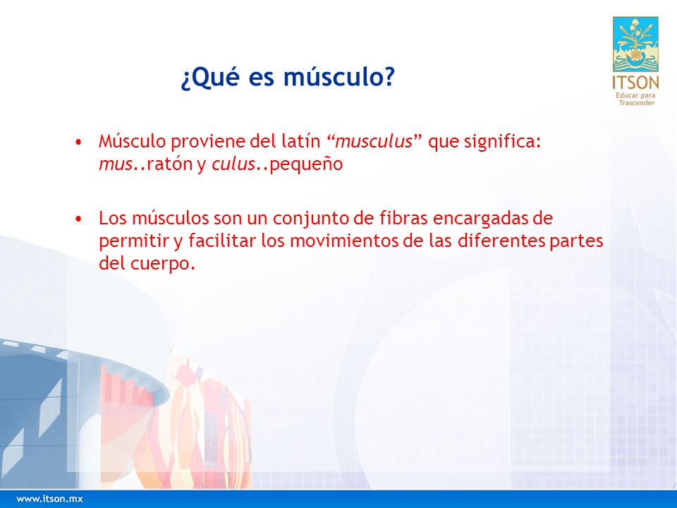 ¿Qué es músculo Músculo proviene del latín musculus que significa: mus..ratón y culus..pequeño.