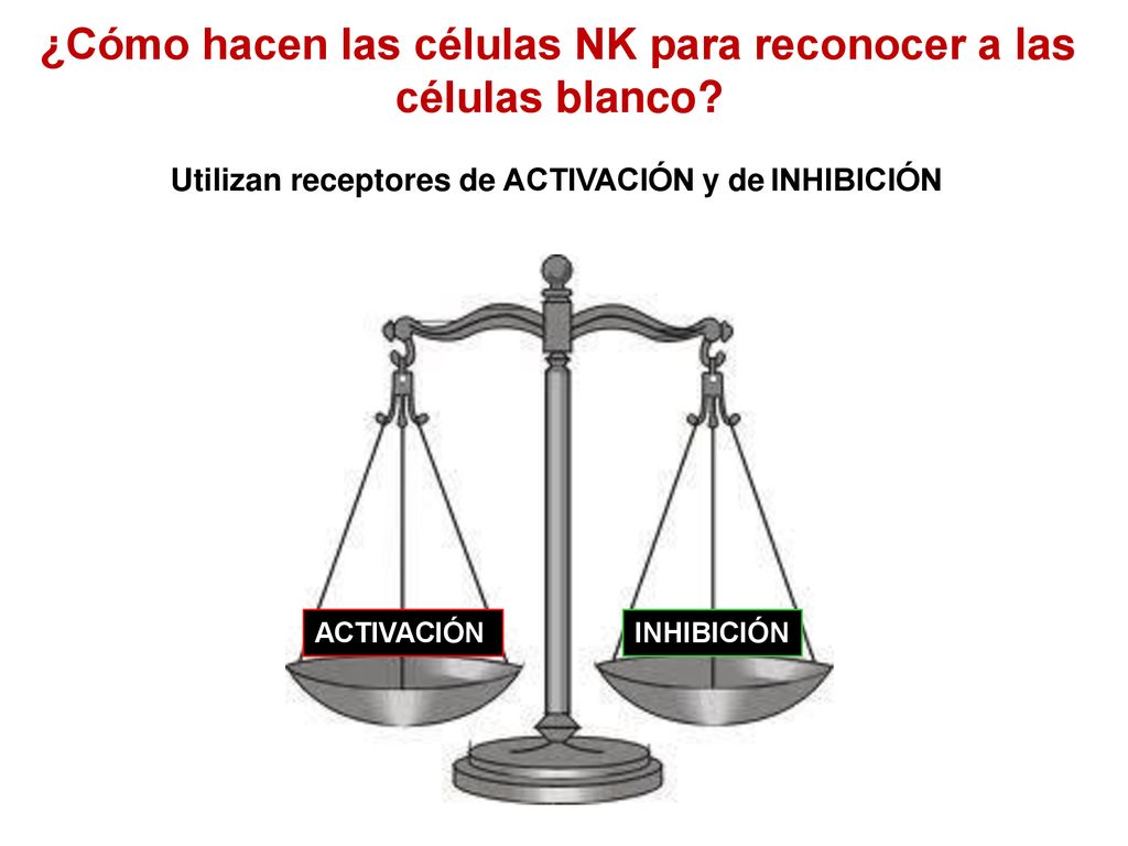 ¿Cómo hacen las células NK para reconocer a las células blanco